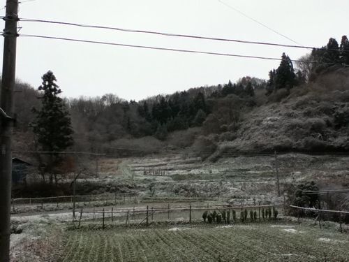 究極防寒着が続々 冬の部屋着は今年もワークマン一択っしょ アウター パンツ編 こやつは上様ではない